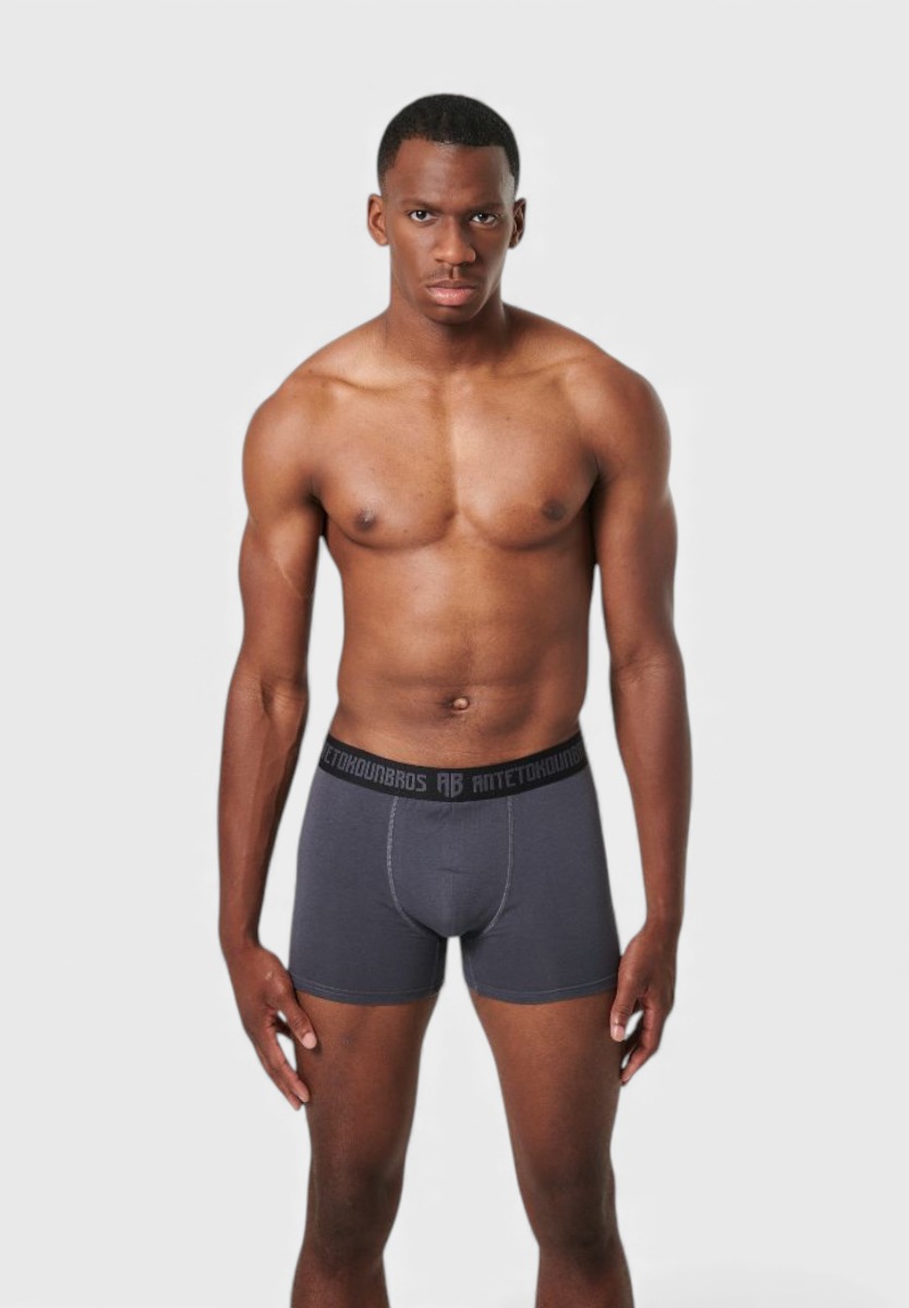 AntetokounBros ανδρικό boxer γκρι ACJD352001-030