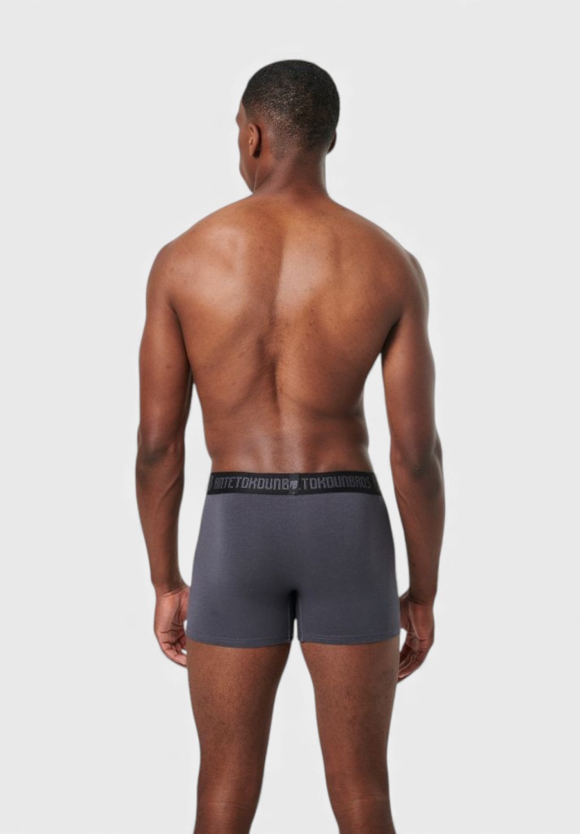 AntetokounBros ACJD352001-030 γκρι boxer πίσω όψη