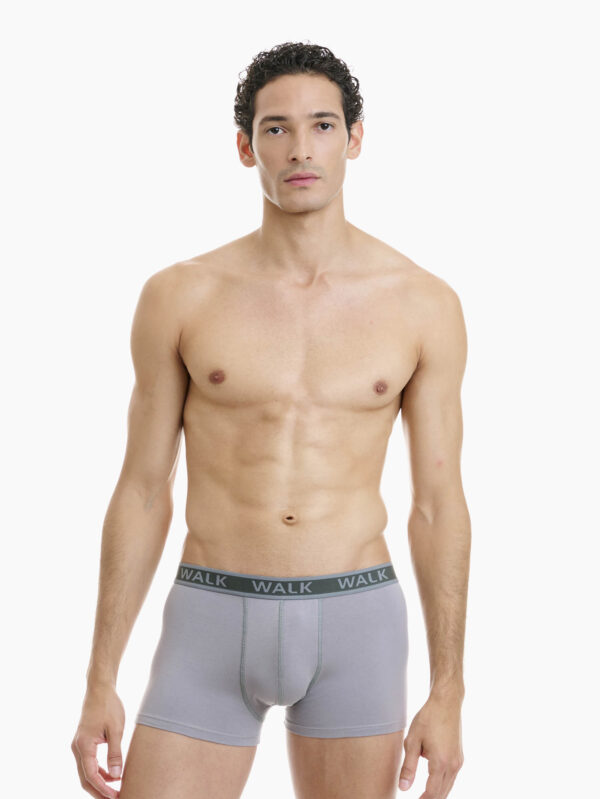 Walk W1756-1224 Grey ανδρικό boxer