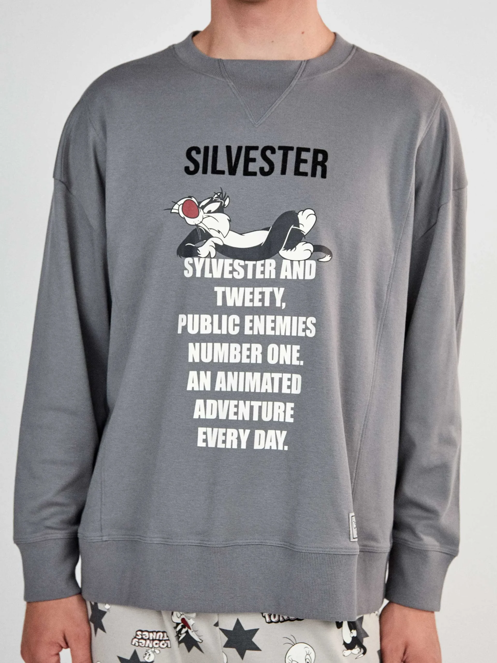 Ανδρική πιτζάμα Gisela 2/20476S με Sylvester και Tweety